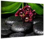 Obraz - Lávové kamene (70x50 cm)