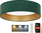 Brilagi - LED Stmievateľné svietidlo VELVET SMART LED/24W/230V Wi-Fi Tuya + DO
