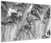 Obraz - Lipnica, čiernobiela (90x60 cm)