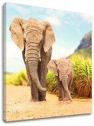 Obraz na stenu ZVIERATÁ_049-12 | rôzne rozmery