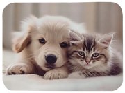 Prestieranie PUPPIES