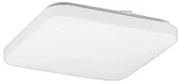 Rabalux 2287 - LED Stropné svietidlo ROB 1xLED/32W/230V hranatý RL2287