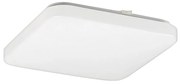 Rabalux 2287 - LED Stropné svietidlo ROB 1xLED/32W/230V hranatý