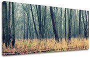 Obraz na stenu PANORÁMA STROMY | rôzne rozmery