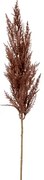 Grass pampas Branch brown 92 cm