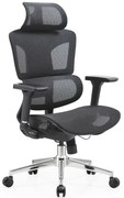 Ergonomické kreslo Ergo Omega čierne, komfort, 4D nastavenie, mesh