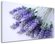 Obraz na stenu KVETY | rôzne rozmery