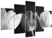 Obraz - Čiernobiele kvety tulipánov (150x105 cm)