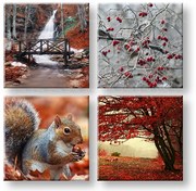 Obraz na stenu Beauty of Autumn | rôzne rozmery