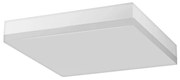 LED Stropné svietidlo LED/18W/230V IP44