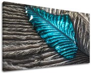 Obraz na stenu RASTLINY | rôzne rozmery