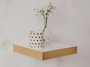 Polica na stenu Shelvy 23,5 cm, biela lesk/zlatá%