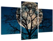Obraz stromu so splnom (90x60 cm)