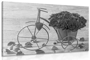 Obraz bicykel plný ruží v čiernobielom prevedení