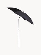 Slnečník Elios, v rôznych veľkostiach