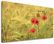 Obraz na stenu KVETY | rôzne rozmery