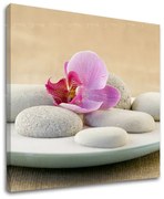 Obraz na stenu FENG SHUI | rôzne rozmery