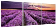 Obraz - Levanduľové pole pri západe slnka (s hodinami) (90x30 cm)