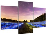 Obraz farebného poľa (90x60 cm)