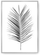 Plagát Palm Leaf Green