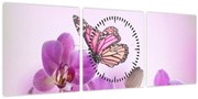 Obraz - Motýľ na kvetoch orchidey, lila (s hodinami) (90x30 cm)