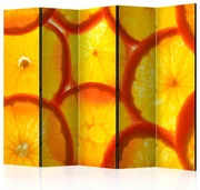 Artgeist Paraván - Orange slices [Room Dividers]