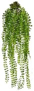 Umelá rastlina Columnea závesná, 48 cm, zelená