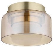 Globo 16055DG - LED Stropné svietidlo HIGGINS 1xGX53/6W/230V pr. 13 cm hnedá