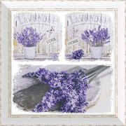 Rámovaný obraz 40x40cm FAP515