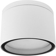 Palnas 66003481 - Vonkajšie stropné svietidlo ARON 1xGX53/15W/230V IP54