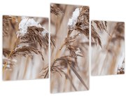 Obraz - Lipnica (90x60 cm)