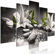 Obraz - Lilies and Stones (5 Parts) Wide Grey Veľkosť: 200x100, Verzia: Standard