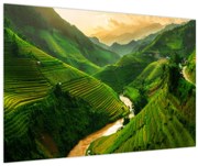 Obraz - Ryžové terasy Mu Cang Chai (90x60 cm)