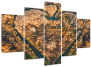 Obraz - Rieka v tvare srdca (150x105 cm)