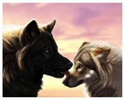 119906 NORIMPEX 5D Diamantová mozaika - Vlčia láska