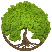 Strom na stenu z machu Ondina 30 cm