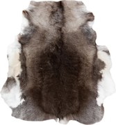 Koberec RENIFER POK014 hnedý / sivý