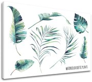 Obraz na stenu s textom Watercolor exotic plants | rôzne rozmery