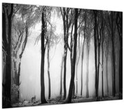 Obraz - Vlk v temnom lese (70x50 cm)