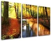 Obraz na stenu STROMY | rôzne rozmery