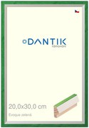 DANTIK rám na obraz 20x30 | EVOQUE zelená (Sklo Čiré)