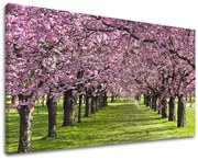 Obraz na stenu STROMY | rôzne rozmery