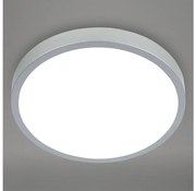 Briloner 3709-014 - LED RGBW Stm. stropné svietidlo LED/22W/230V strieborná + DO