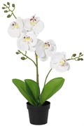 Umelá biela orchidea v kvetináči 40 cm