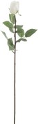Dlhá biela umelá ruža Rose - 12,5 * 74 cm