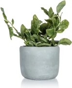 Umelá rastlina v kvetináči 18 x 20 cm, zelená%