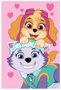 Fleecová detská deka 100x150 cm Paw Patrol – Jerry Fabrics