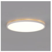 LED kúpeľňové svietidlo NIVERA LED/32W/230V IP54 pr. 42 cm biele + DO