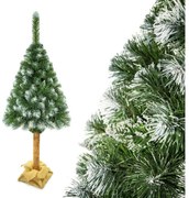 Vianočný stromček na kmeni 220 cm borovica