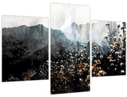 Obraz - Ilustrácie divokých kvetov (90x60 cm)